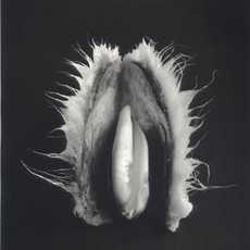 Elfriede Mejchar