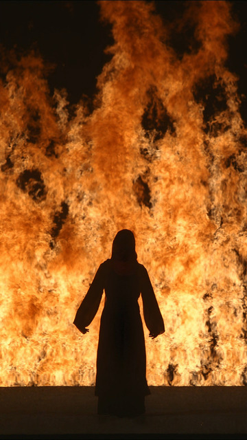 Résultat de recherche d'images pour "fire women bill viola"