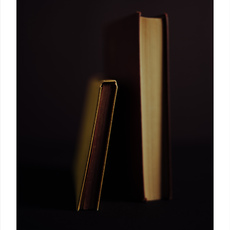 Victor Schrager