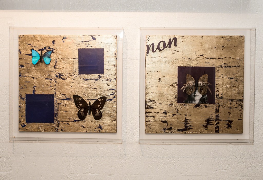 Butterfly Boards I and II Butterfly Boards I and II