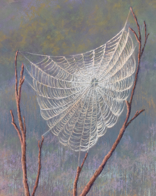 Tracey Maras, ‘Dreamcatcher’, 2020, Painting, Pastel, Springfield Art Association