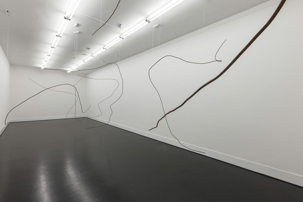 Diango Herández
Hurricanes, 2016
Installation view at FL Gallery - SPAZIO 22
Photo credit: Antonio Maniscalco Diango Herández
Hurricanes, 2016
Installation view at FL Gallery - SPAZIO 22
Photo credit: Antonio Maniscalco