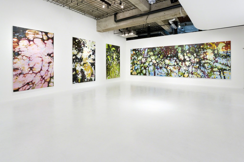 Janaina Tschäpe "Moon Blossom" installation view at nca | nichido contemporary art, 2008 Janaina Tschäpe "Moon Blossom" installation view at nca | nichido contemporary art, 2008