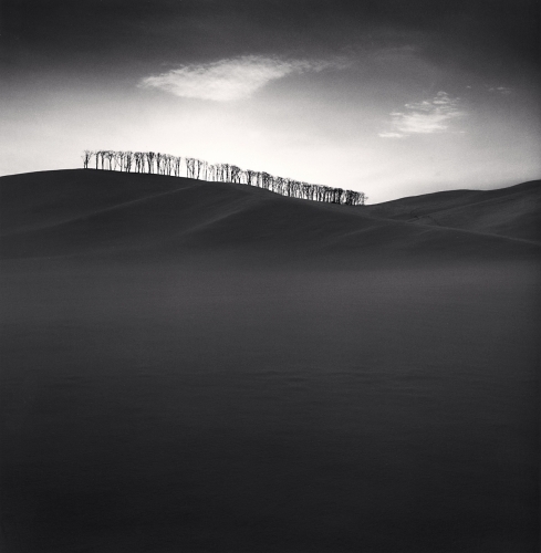 Michael Kenna, ‘Hilltop Trees, Study 2, Teshikaga, Hokkaido, Japan’, 2004, Photography, Silver Gelatin Print, Weston Gallery
