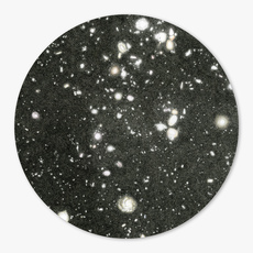 Mia Rosenthal