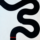 Fuji Gallery logo