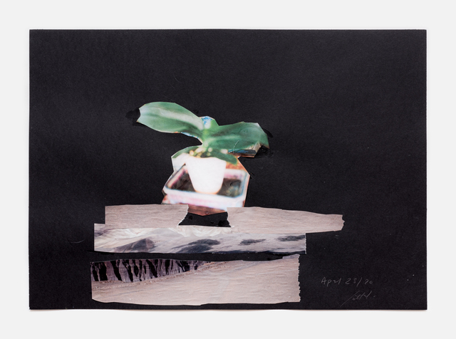 Simone Fattal, ‘Flower’, 2020, Drawing, Collage or other Work on Paper, Collage, Galerie Hubert Winter