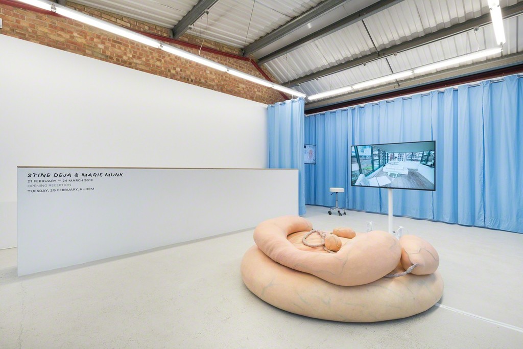 Installation view of Stine Deja and Marie Munk ‘Synthetic Seduction’ at Annka Kultys Gallery, London 2018. Photo: Annka Kultys Gallery (Damian Griffiths) Installation view of Stine Deja and Marie Munk ‘Synthetic Seduction’ at Annka Kultys Gallery, London 2018. Photo: Annka Kultys Gallery (Damian Griffiths)