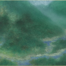 Peng Wei Shin