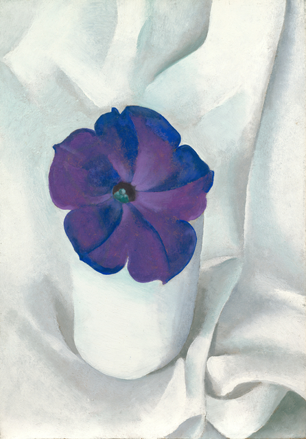Georgia O’Keeffe, ‘Petunia’, 1925, Painting, Oil on panel, San Francisco Museum of Modern Art (SFMOMA)