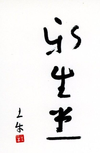 Shinseido logo