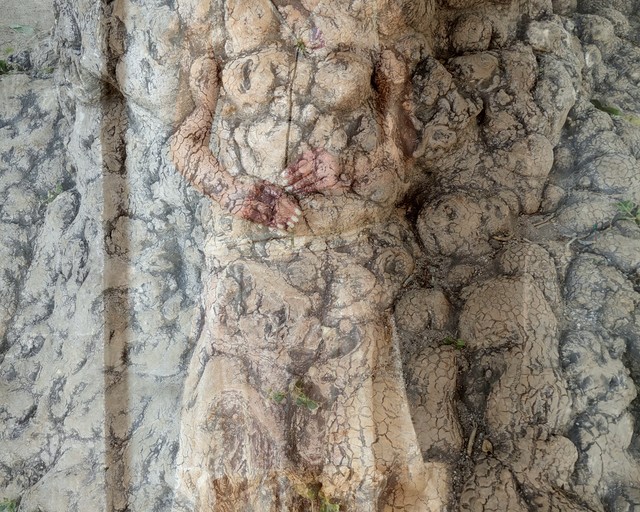 Cynthia Fusillo, ‘Tree body’, 2020, Print, Printed on Hahnemule, Galeria Contrast