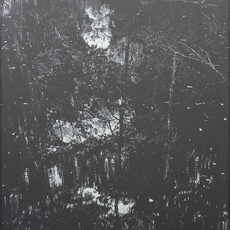 Peter Eastman