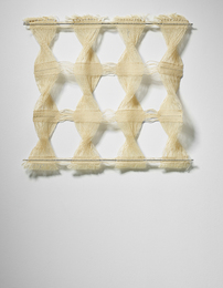 Unique '2-Dimensional Macrogauze'
