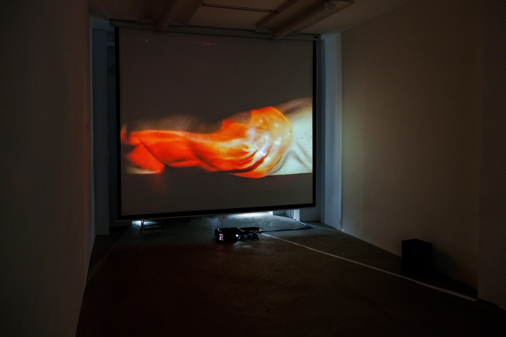 Doris Schmid, "BLINK", 2-channel video installation, 2013 | image: ©dasesszimmer Doris Schmid, "BLINK", 2-channel video installation, 2013 | image: ©dasesszimmer