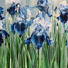 Liz Gray