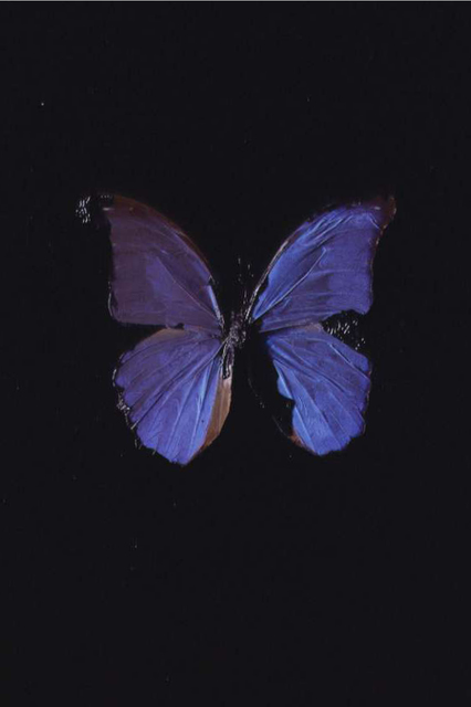 Damien Hirst, ‘The Soul on Jacob’s Ladder ’, 2005, Paul Stolper Gallery