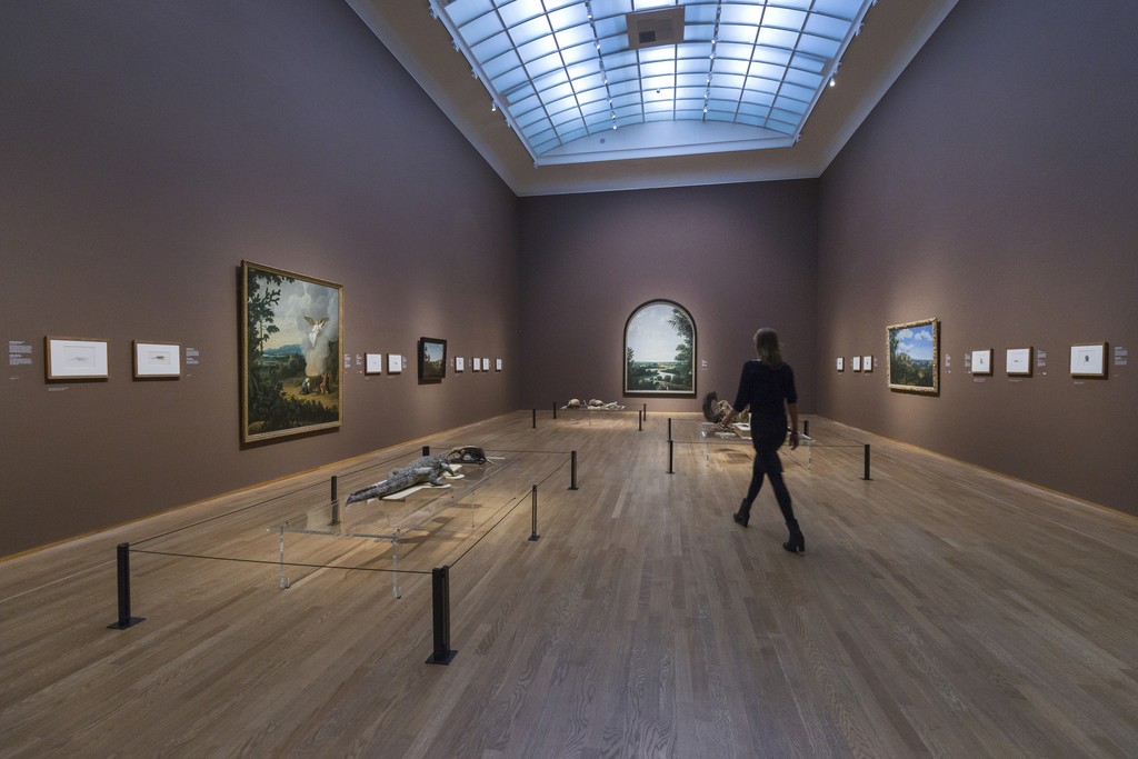 Installation view, "Frans Post" at Rijksmuseum. Photo Olivier Middendorp Installation view, "Frans Post" at Rijksmuseum. Photo Olivier Middendorp