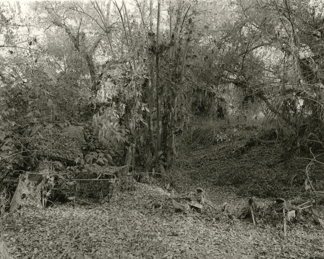 Mark Ruwedel, ‘LA River/Sepulveda Basin #81’, 2018, Photography, Gelatin silver print dry-mounted to archival board, Gallery Luisotti