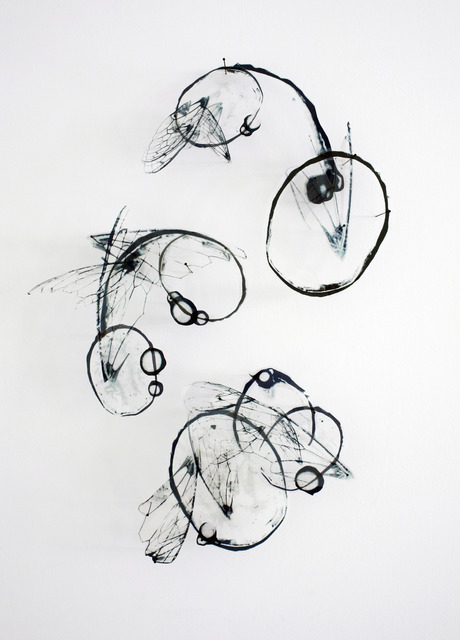 Alan Bur Johnson, ‘Progeny Fig. 13’, 2012, Installation, Photographic transparencies, insect pins, Lisa Sette Gallery