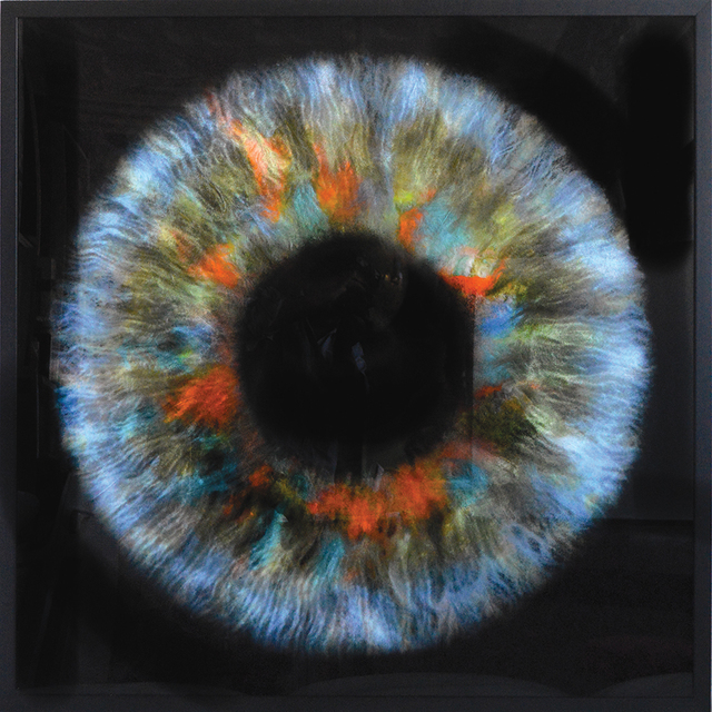 Daniel Gastaud, ‘Iris Flowers’, 2017, Eden Fine Art