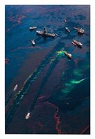 Oil Spill #16