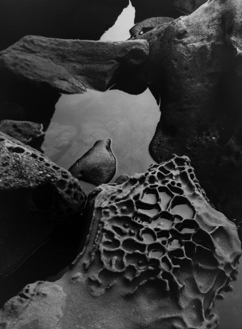 Brett Weston, ‘Tide Pool, Point Lobos’, 1977, Weston Gallery