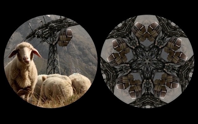 Leslie Thornton, ‘Sheep Machine’, 2011, Winkleman Gallery