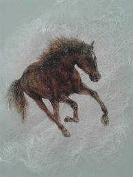 wild horse
