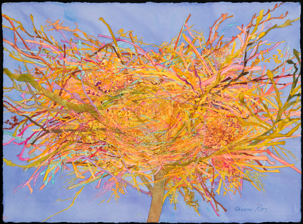 Sharon Pitts, ‘Nest, Swirl’, 2016, Imlay Gallery