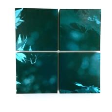 Nancy McTague-Stock
