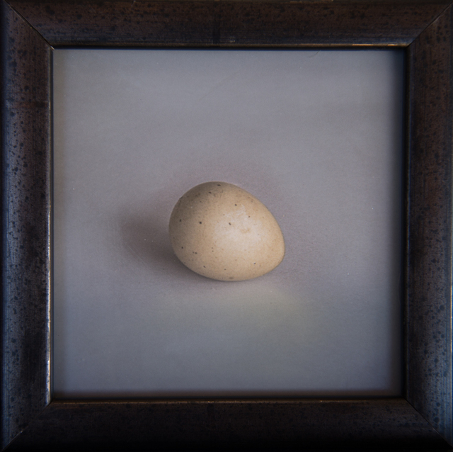 Kate Breakey, ‘Quail Egg 29’, 2019, Photography, Hand-colored archival pigment print, Etherton Gallery