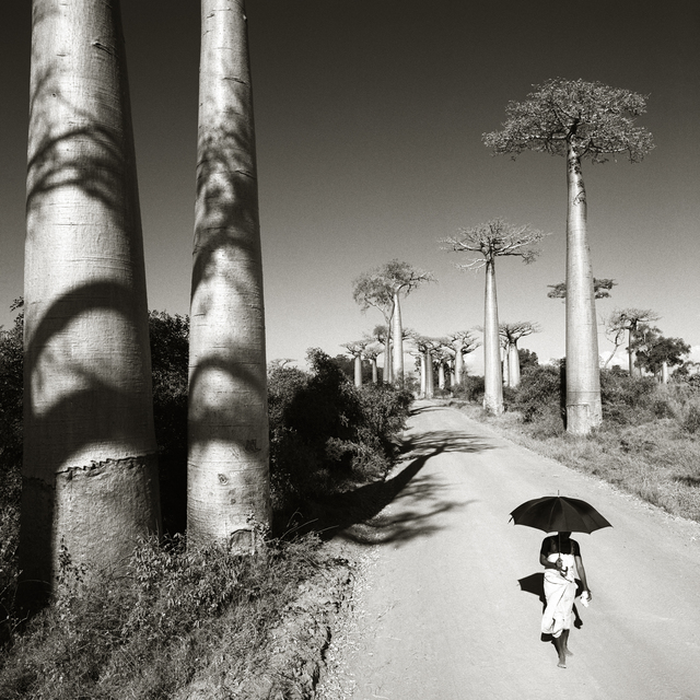 Chris Simpson, ‘Woman with Umbrella Madagascar’, 1997, Atlas Gallery