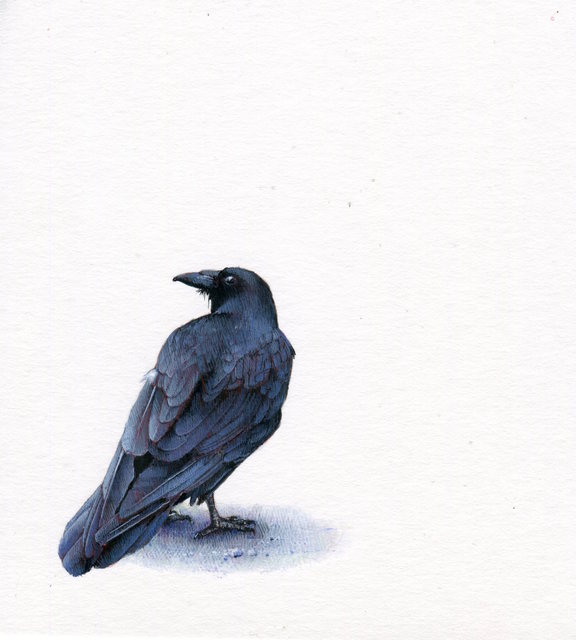 Dina Brodsky, ‘Raven’, 2019, Drawing, Collage or other Work on Paper, Watercolor and gouache on paper, Garvey | Simon