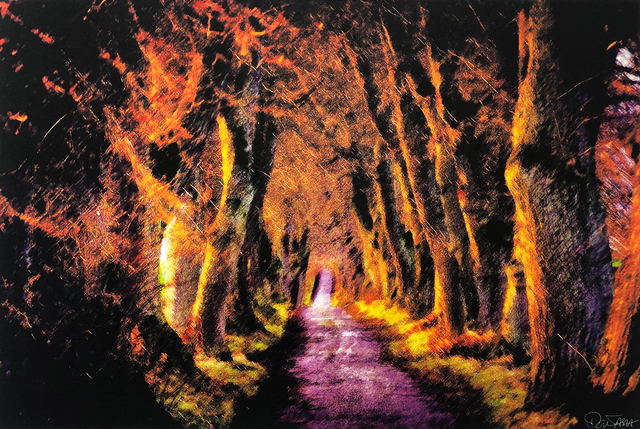 David Ash, ‘Chemin Rose’, 2019, Galerie Libre Est L'Art