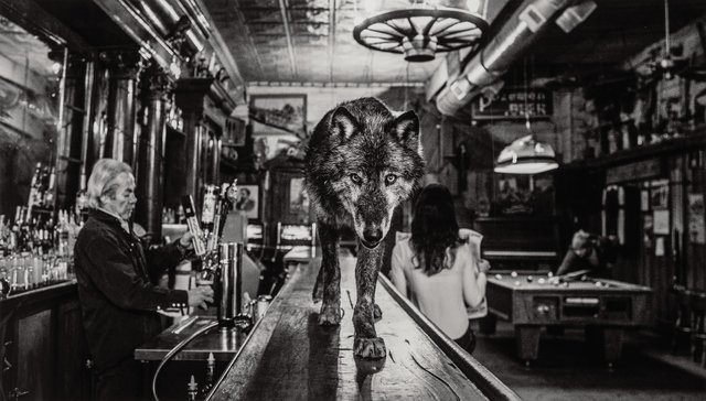 David Yarrow, ‘The Wolf of Main Street III’, 2015, Heritage Auctions