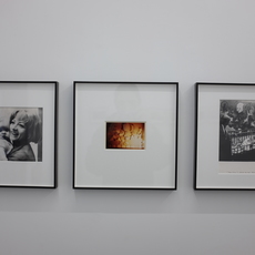 Lea Lublin