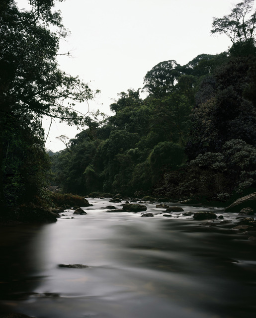 Caio Reisewitz, ‘Itatinga’, 2012, Galería Joan Prats