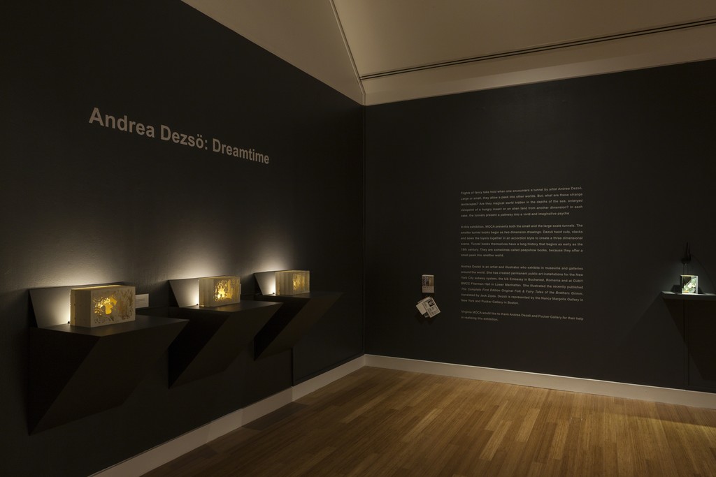 Andrea Dezsö: Dreamtime Installation view at the Virginia Museum of Contemporary Art (MOCA). Photograph by Glen McClure Andrea Dezsö: Dreamtime Installation view at the Virginia Museum of Contemporary Art (MOCA). Photograph by Glen McClure