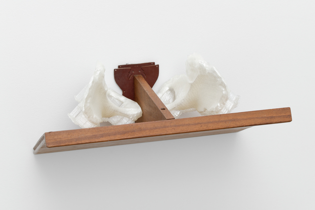 Guillaume Constantin, ‘ILIAQUES’, 2015, Galerie Bertrand Grimont
