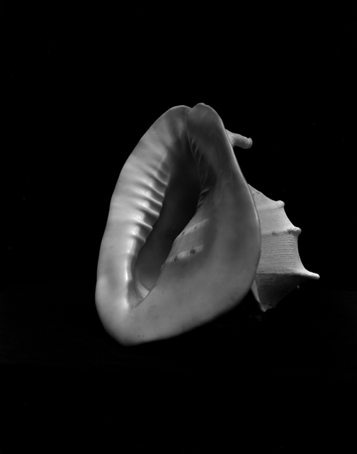 Esther Teichmann, ‘Untitled’, 2015, Photography, Silver gelatin fibre based print, Galerie Les filles du calvaire