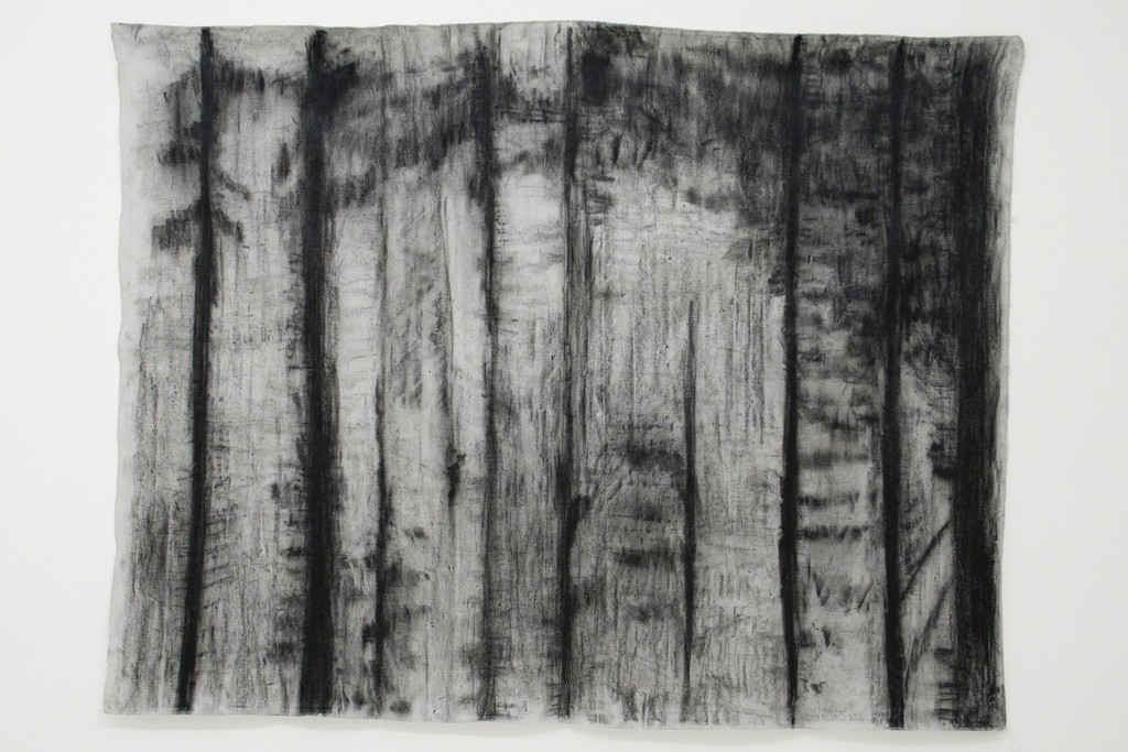 Ana María Millán — Untitled (2014) Ana María Millán — Untitled (2014)