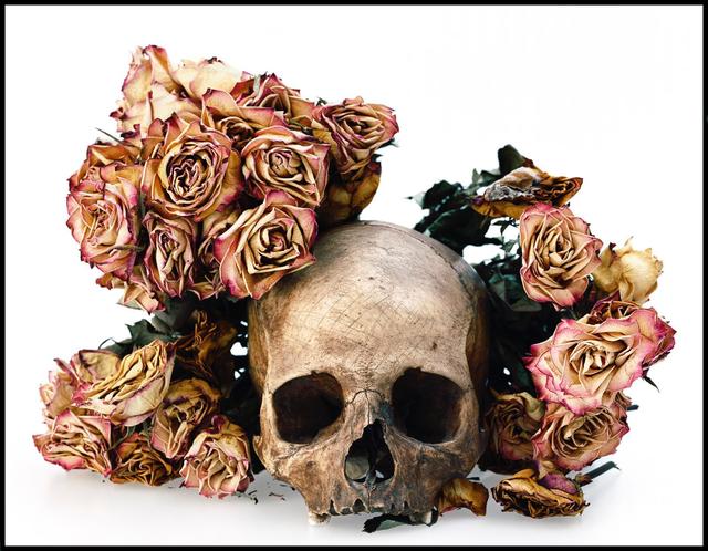 David Bailey, ‘Skull with Pink Flowers’, 2008, Photography, Lambda print, Galería Hilario Galguera