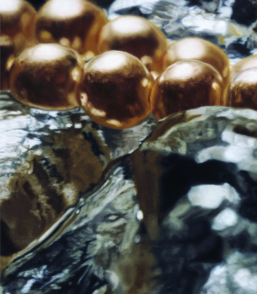 Ben Charles Weiner - Close-up Detail Image Ben Charles Weiner - Close-up Detail Image
