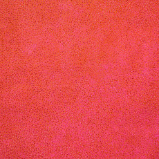 Elizabeth Kunoth KNGWARREYE