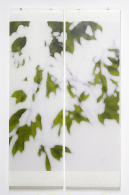 Jeri Eisenberg, ‘Summer Greens No. 9, 2008’, 2008, Carrie Haddad Gallery