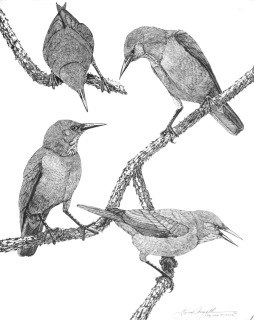 Tony Angell, ‘Pinyon Jays’, 1976, Foster/White Gallery