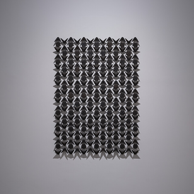 image-zoom