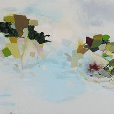 Shona MacDonald