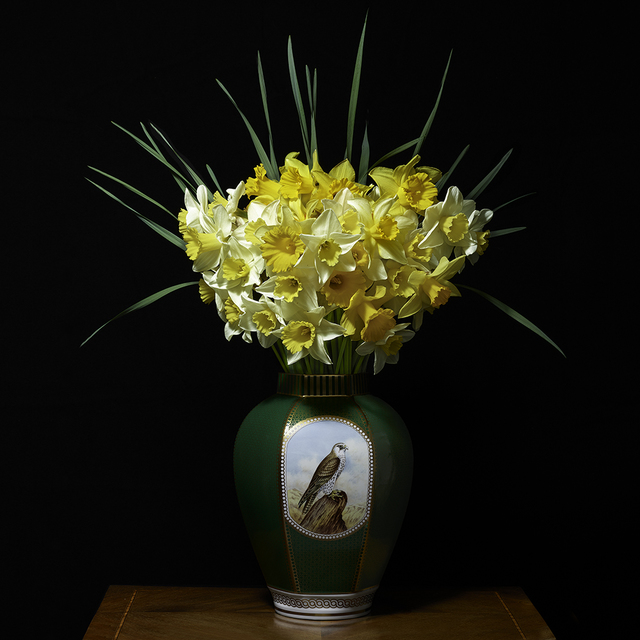 T.M. Glass, ‘Narcissus in a Green Falcon Vessel’, 2018, Print, Impression d’archive avec pigments / Archival Pigment Print, Galerie de Bellefeuille